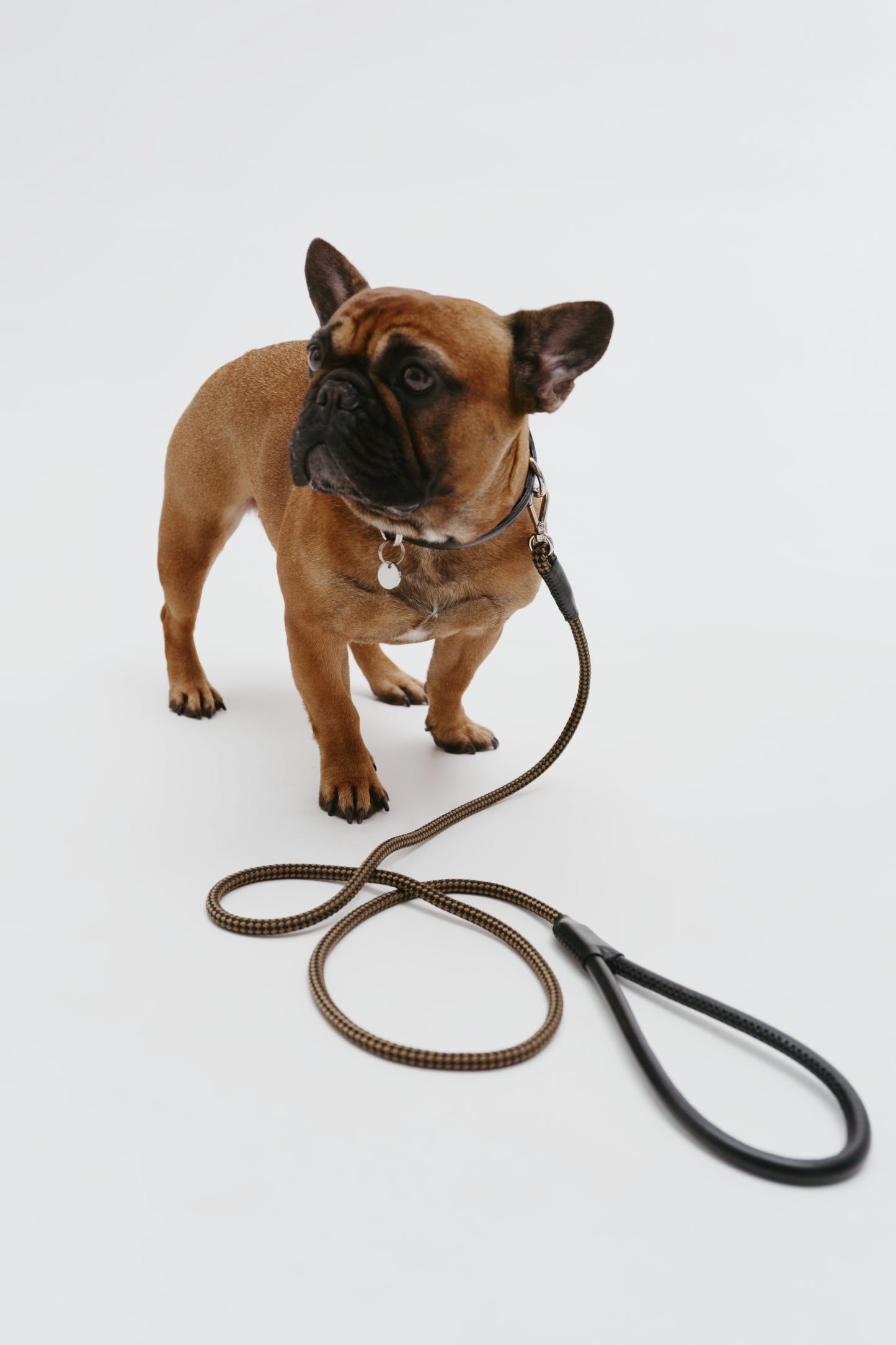 Koloda dog leash black