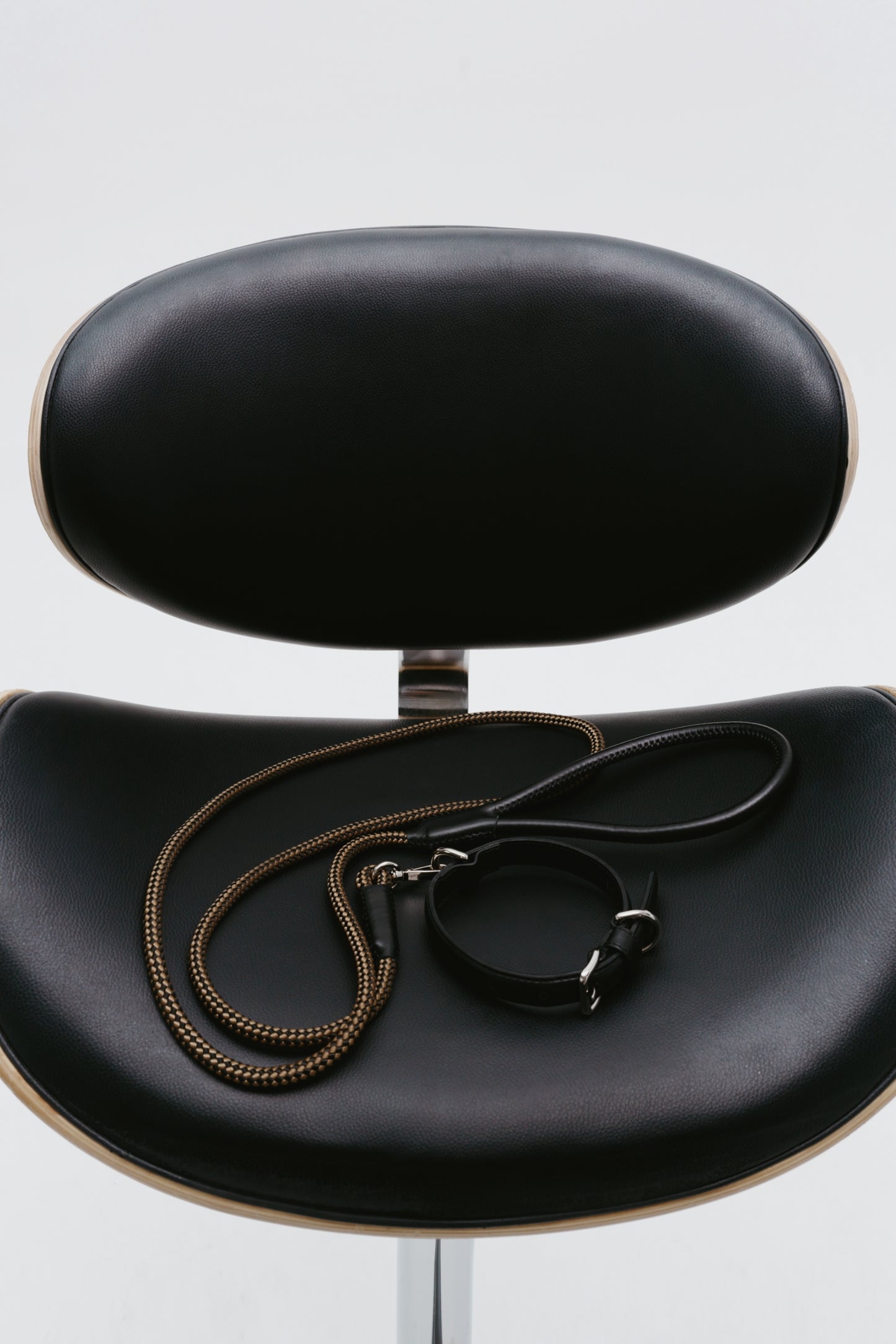 Koloda dog leash black